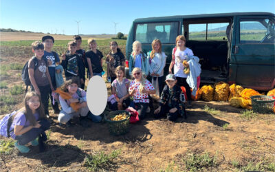 Lernort Bauernhof 3a 3b